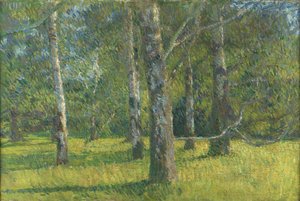 Betulle a Laxenburg da Matija Jama